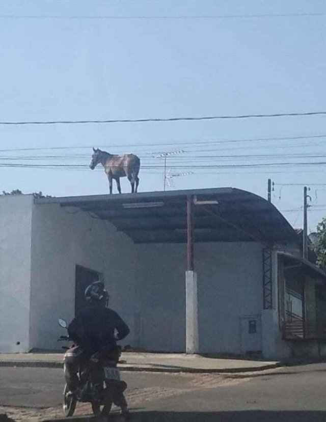 Acid Picdump 1 (74 pics)