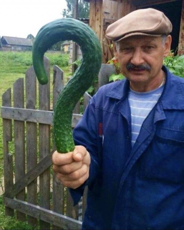 Acid Picdump 1 (74 pics)
