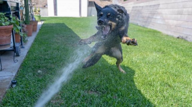 Acid Picdump 1 (74 pics)