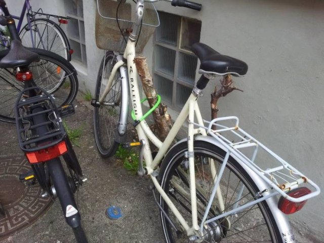 Acid Picdump 2 (72 pics)