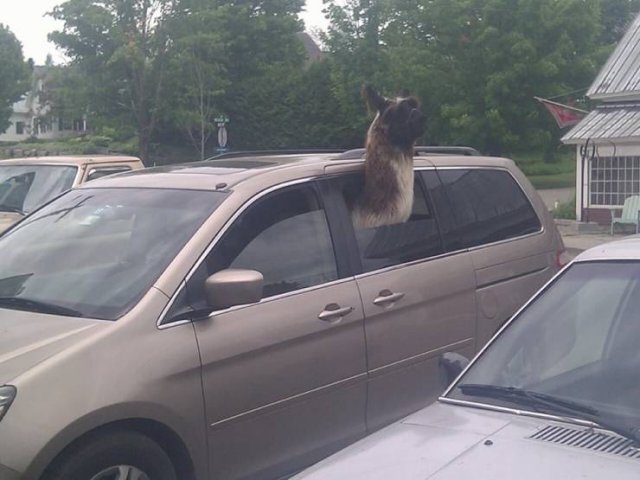 Acid Picdump 1 (74 pics)