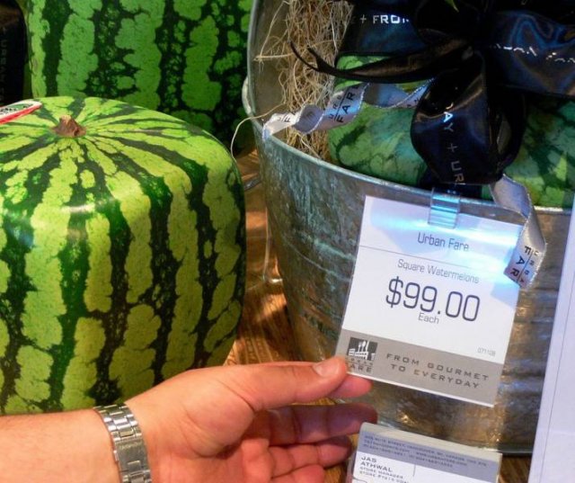 Acid Picdump 1 (74 pics)