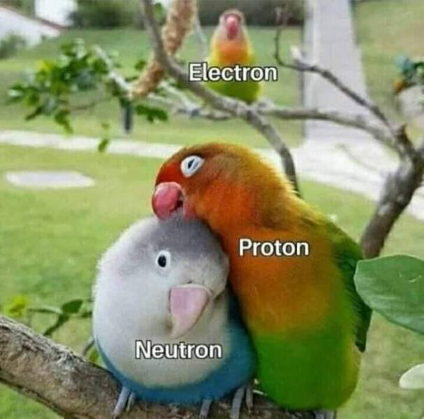 Science Memes (30 pics)