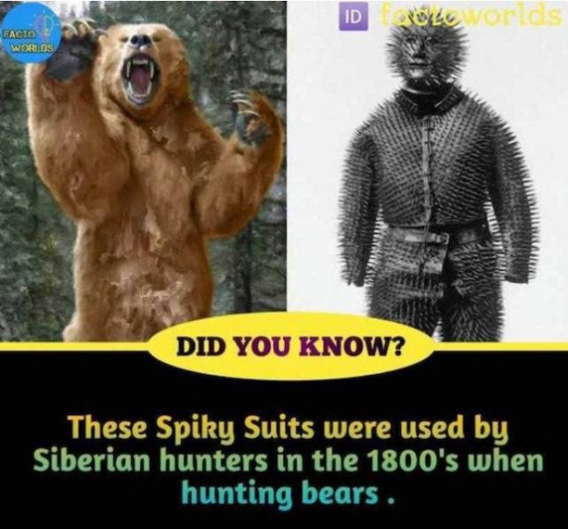Intriguing Facts (33 pics)