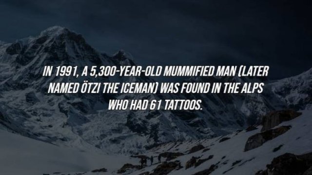 Intriguing Facts (19 pics)