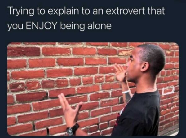 Introvert Memes (25 pics)