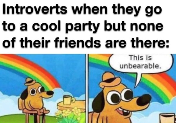 Introvert Memes (25 pics)
