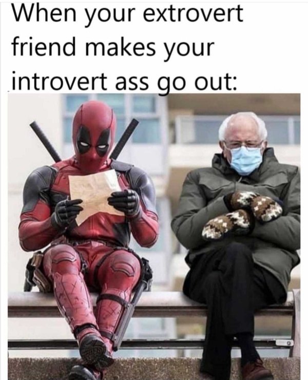 Introvert Memes (25 pics)