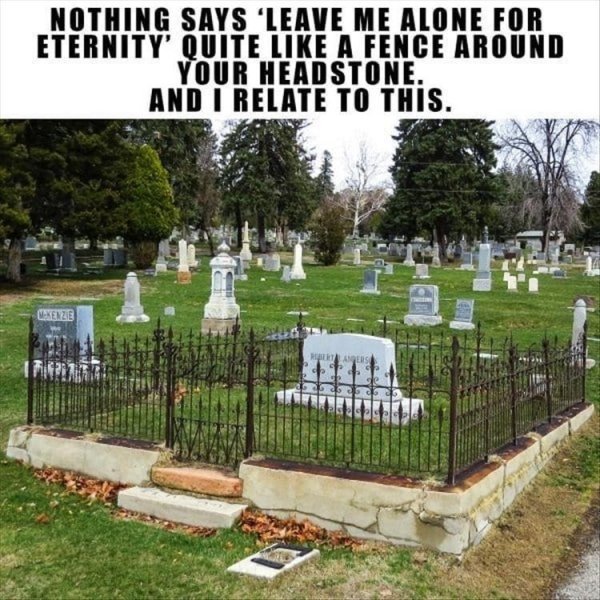 Introvert Memes (25 pics)