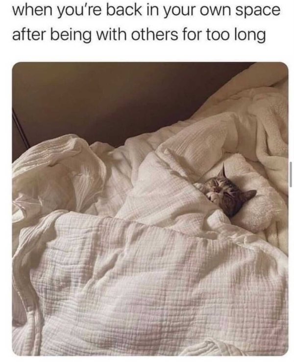 Introvert Memes (25 pics)