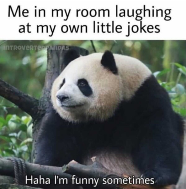 Introvert Memes (25 pics)