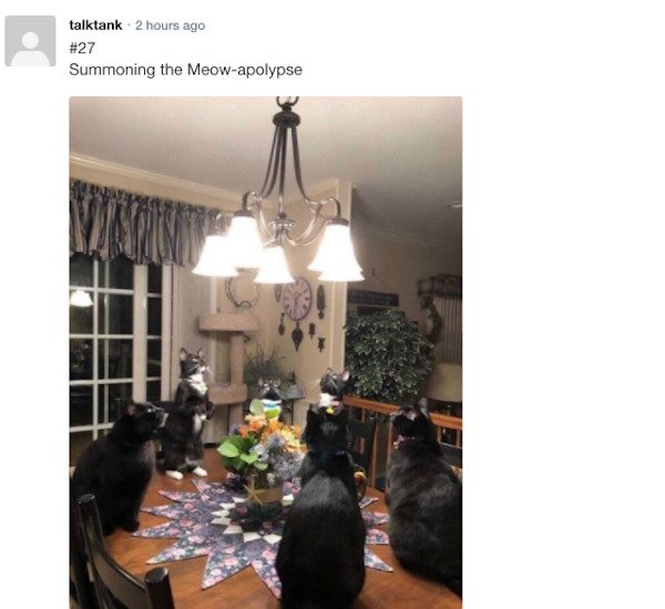 Funny Comments (65 pics)