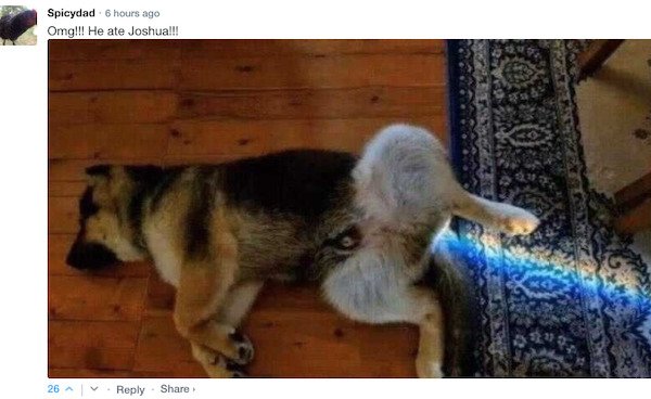 Funny Comments (65 pics)