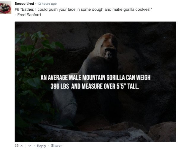 Funny Comments (65 pics)
