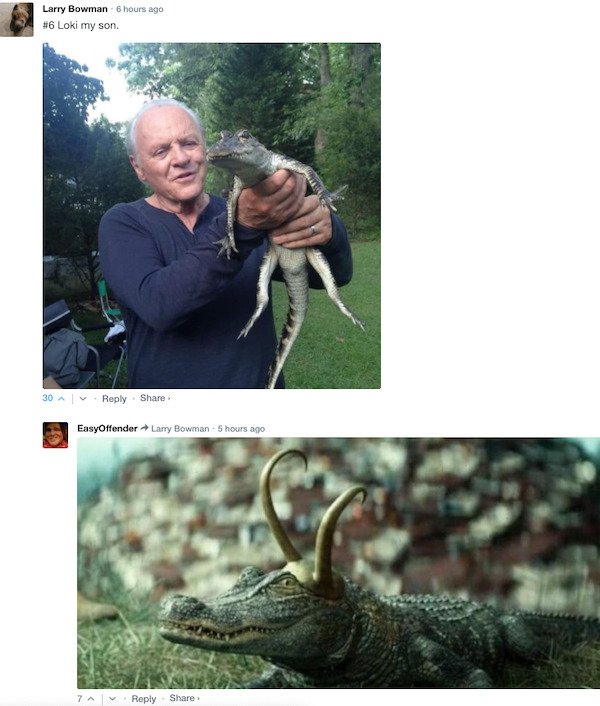Funny Comments (65 pics)