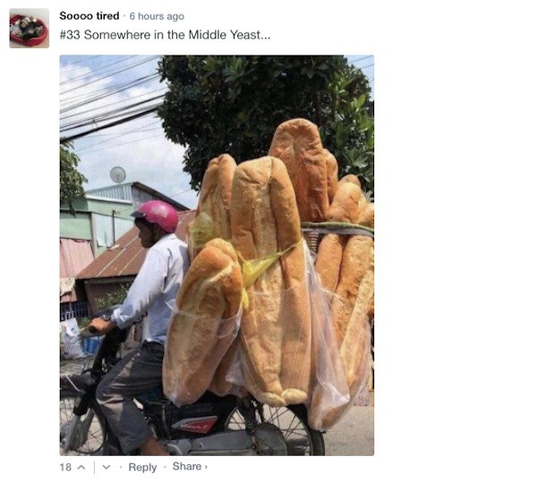 Funny Comments (65 pics)