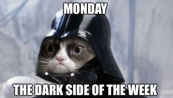 So True (33 pics)