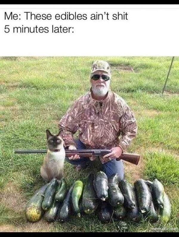 So True (33 pics)