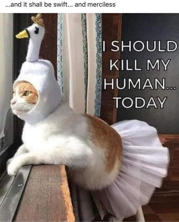 So True (33 pics)