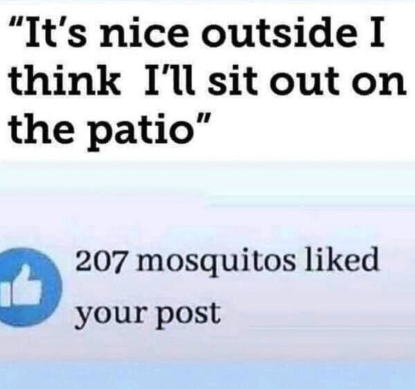 So True (33 pics)