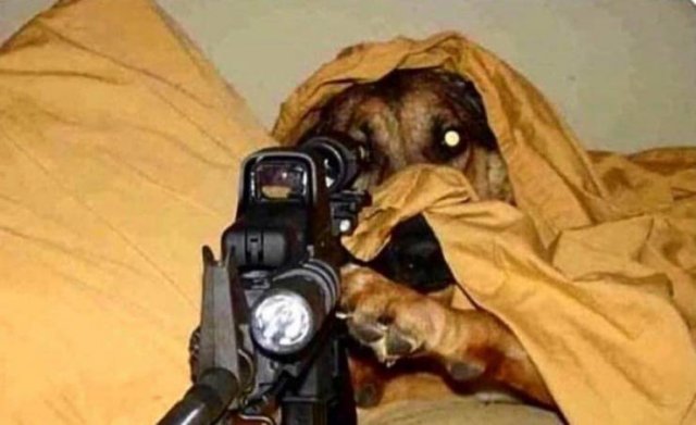 Acid Picdump 1 (92 pics)