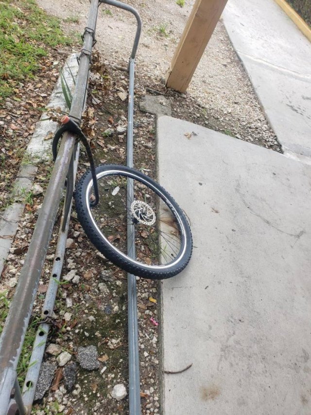 Acid Picdump 1 (92 pics)