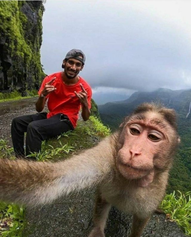Acid Picdump 1 (92 pics)