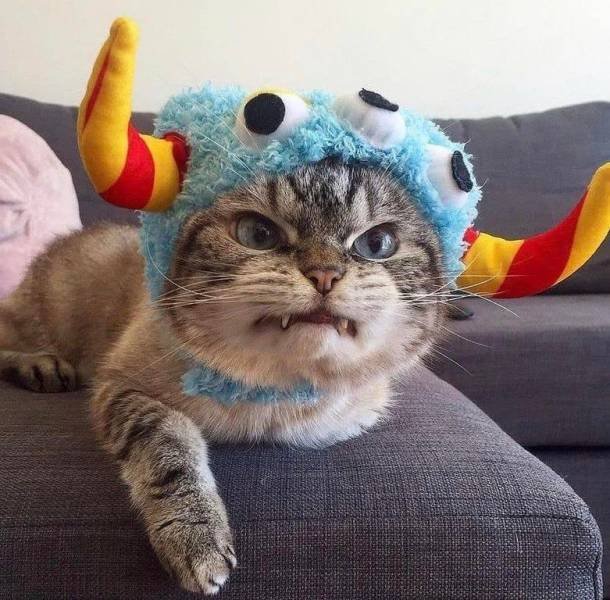Acid Picdump 1 (92 pics)