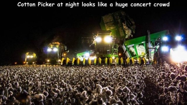 Acid Picdump 1 (92 pics)