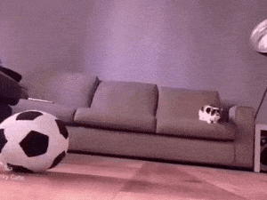 Acid Gifdump, July 19 (25 gifs)