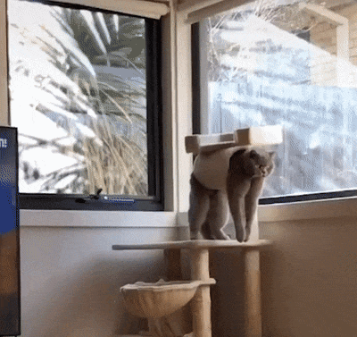 Acid Gifdump, July 19 (25 gifs)