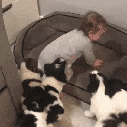 Acid Gifdump, July 19 (25 gifs)
