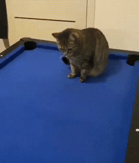 Acid Gifdump, July 19 (25 gifs)
