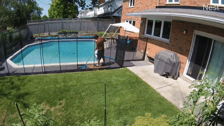 Acid Gifdump, July 19 (25 gifs)