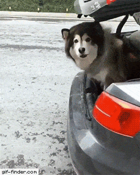 Acid Gifdump, July 19 (25 gifs)