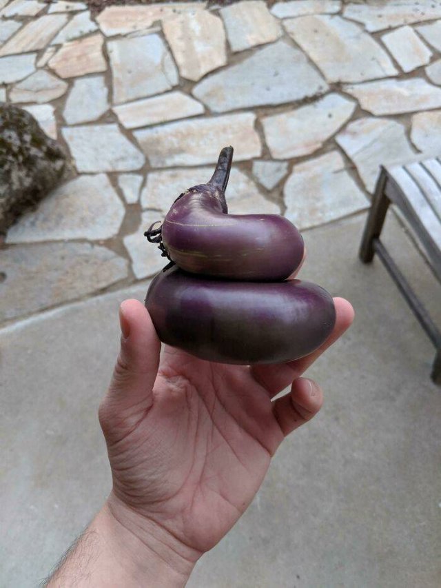 Fruits And Vegetables That Look A Way Bit Different (40 pics) Fruits And Vegetables That Look A Way Bit Different (40 pics)