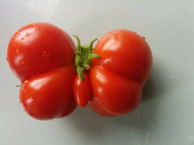 Fruits And Vegetables That Look A Way Bit Different (40 pics)