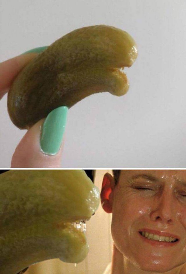 Fruits And Vegetables That Look A Way Bit Different (40 pics)