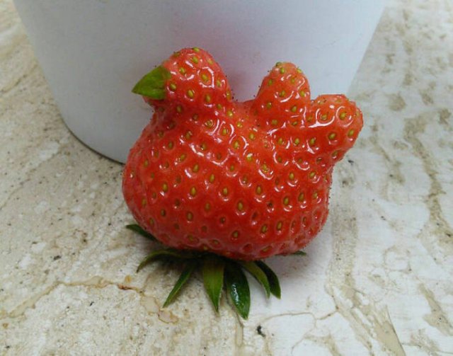 Fruits And Vegetables That Look A Way Bit Different (40 pics) Fruits And Vegetables That Look A Way Bit Different (40 pics)