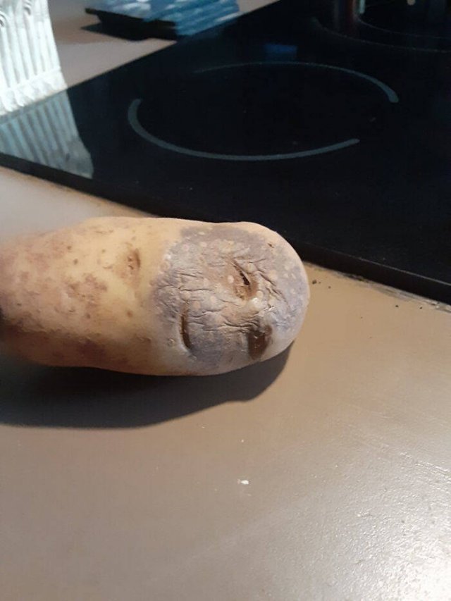 Fruits And Vegetables That Look A Way Bit Different (40 pics)