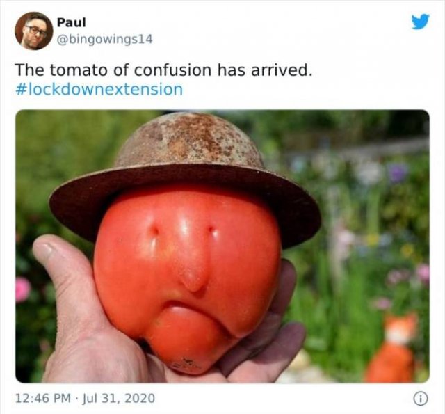 Fruits And Vegetables That Look A Way Bit Different (40 pics)