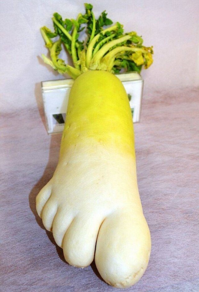 Fruits And Vegetables That Look A Way Bit Different (40 pics)