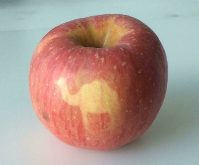 Fruits And Vegetables That Look A Way Bit Different (40 pics)