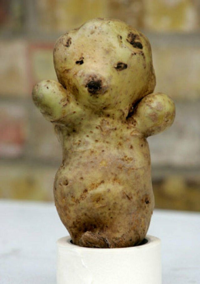 Fruits And Vegetables That Look A Way Bit Different (40 pics)