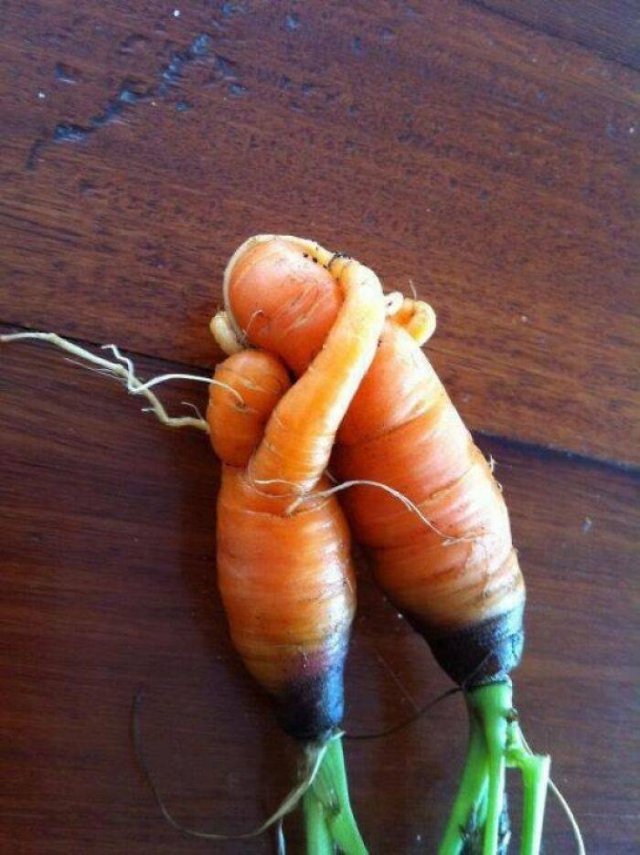 Fruits And Vegetables That Look A Way Bit Different (40 pics)