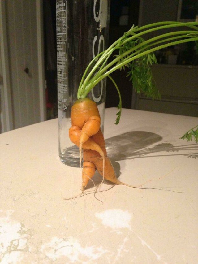 Fruits And Vegetables That Look A Way Bit Different (40 pics)