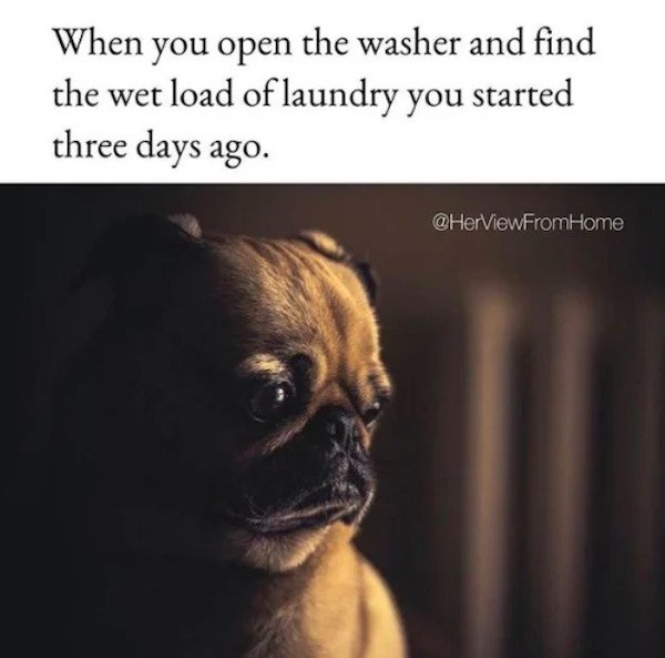 So True (43 pics)