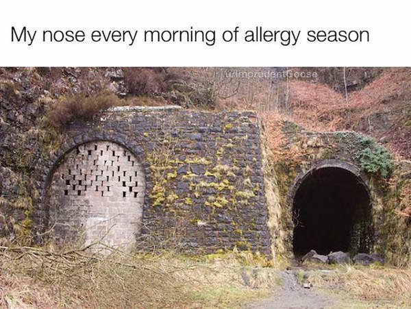 So True (43 pics)