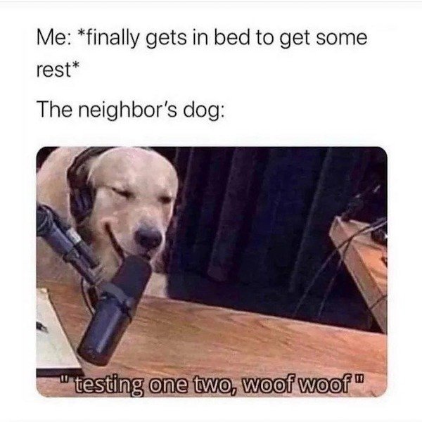 So True (43 pics)