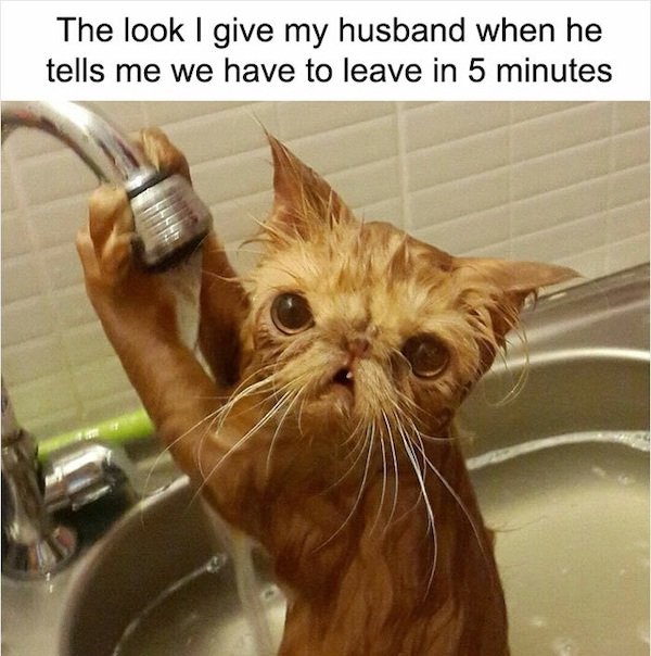 So True (43 pics)